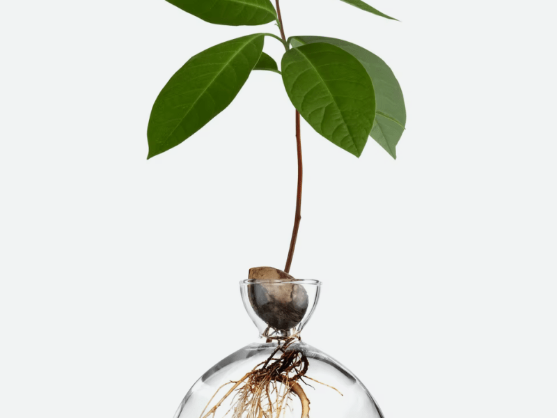 Gifts for the Home&nbsp;2021